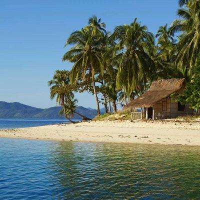 星空体育APP手机app下载